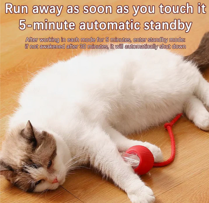 🐾 Speedy Tail 2.0 - Interactive Electric Rolling Ball Original with Teasing Tail – Smart Cat&dog Toy for Indoor & Outdoor Fun 🎉🐱