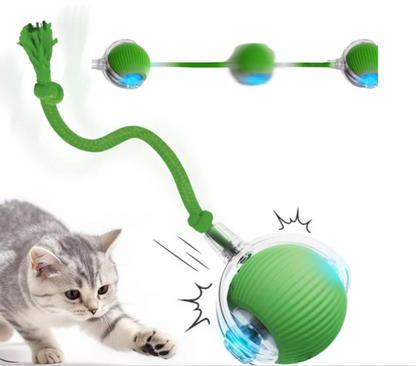 🐾 Speedy Tail 2.0 - Interactive Electric Rolling Ball Original with Teasing Tail – Smart Cat&dog Toy for Indoor & Outdoor Fun 🎉🐱