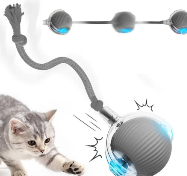 🐾 Speedy Tail 2.0 - Interactive Electric Rolling Ball Original with Teasing Tail – Smart Cat&dog Toy for Indoor & Outdoor Fun 🎉🐱