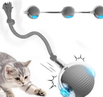 🐾 Speedy Tail 2.0 - Interactive Electric Rolling Ball Original with Teasing Tail – Smart Cat&dog Toy for Indoor & Outdoor Fun 🎉🐱